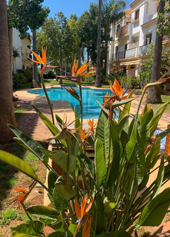 El Patio - Apartment La Lubica Dénia Eksteriør billede